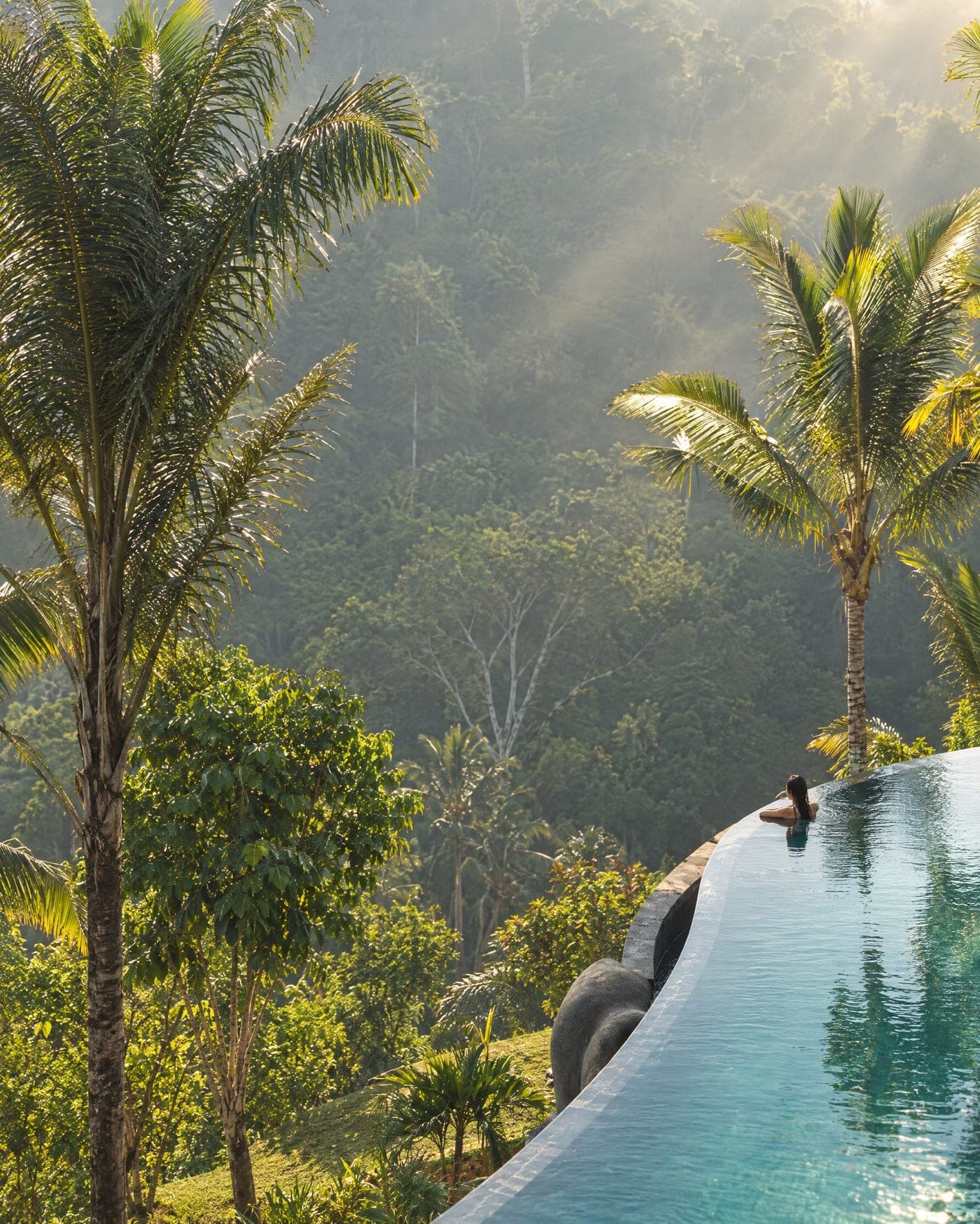 A woman resting at the edge of an infinity pool above a misty rainforest valley, palms lit by the morning sun